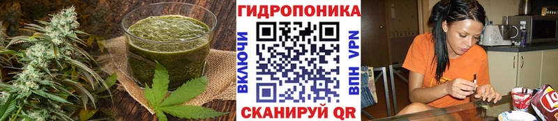Cannafood конопля  Дорогобуж 