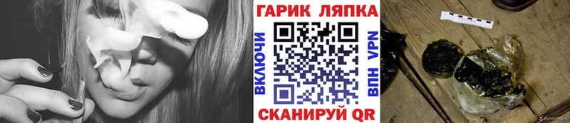 купить наркотики цена Дорогобуж Гашиш Cannabis