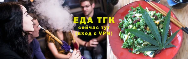 прущий лед Алзамай