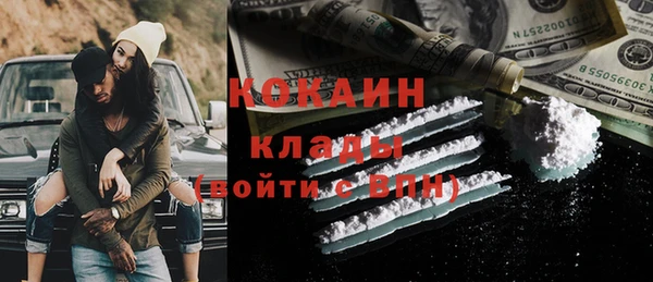 прущий лед Алзамай