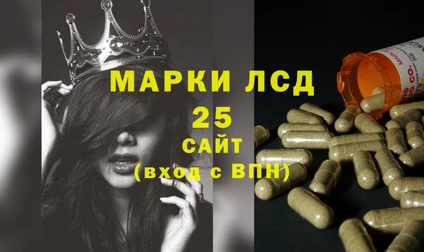 прущий лед Алзамай
