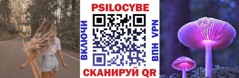 дарнет шоп Дорогобуж Псилоцибиновые грибы Magic Shrooms